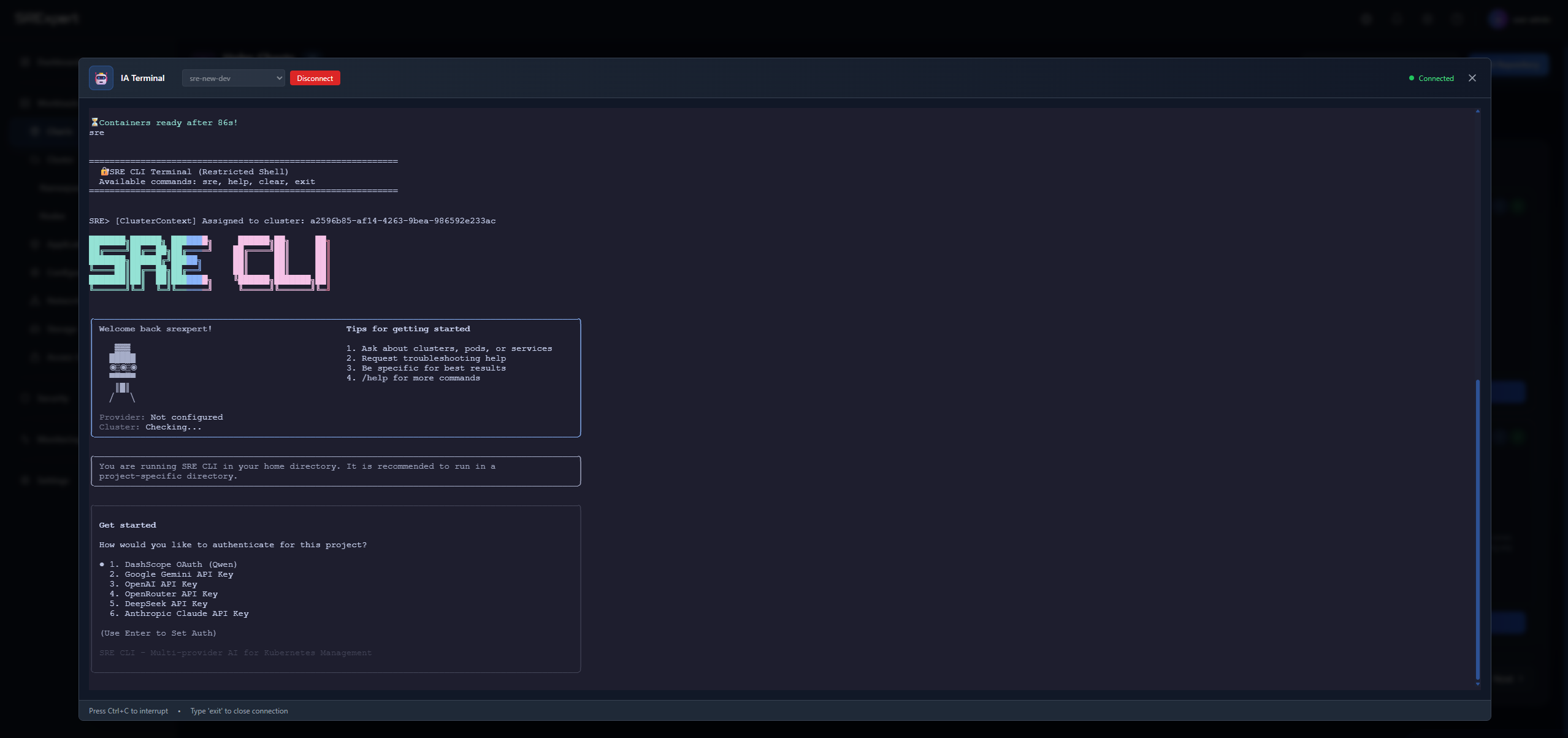 AI authentication options